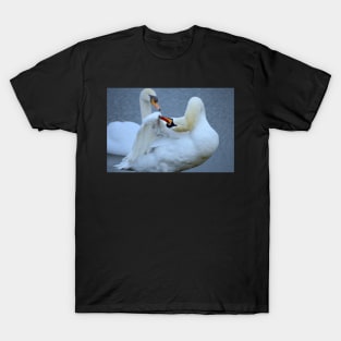 Swan Preening T-Shirt